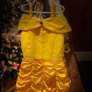 Beauty and The Beast Dress Up Gown